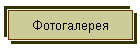 Фотогалерея