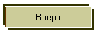 Вверх